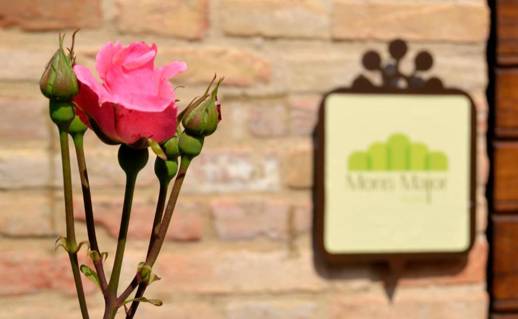 Mons Major Relais Villa Montemaggiore al Metauro Exteriör bild